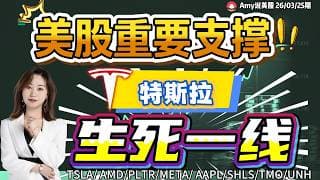 【美股3.25盘前解析】💥美股低位9还是中继9？要看这个支撑位｜⚠️注意，特斯拉关键机构操盘线！#美股 #tsla  #amd   #aapl   #pltr  #美股分析 #特斯拉 #meta