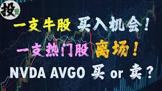 美股 | 投资 | 股票 | 一支牛股买入机会，已买入$87K，一支热门股离场了。NVDA股票，AVGO股票操作计划，CBRE股票，AMZN股票，META股票。