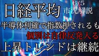 6/5【日経平均】半導体の利確に押され続落！個別は自律反発入る！NT倍率は押し目形成の流れ！