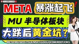 7.2盘前解析】💥META真暴涨，注意这个止盈位！｜⚠️美光以及半导体暴跌后会否再现黄金坑？#美股 #tsla #nvda   #meta   #msft    #WDC  #美光#crcl#RDDT