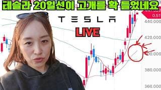 중국에서 좋은 소식 들려오면 테슬라 이대로 $500 가나요???