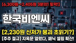 [한국비엔씨 주가 전망] 신저가 붕괴 초읽기? 지금 손절 자리 vs 반등 자리