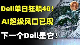 戴尔单日狂飙40%！不用慌，AI PC的“超级风口”才刚开始，下一“戴尔”在这！HPE.DELL.NVDA.MRVL.CSCO.MSFT.GOOG.AAPL.SMCI#美股 #ai #trading
