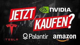 NVIDIA – Amazon – Palantir – Tesla