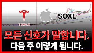 모든 신호가 말합니다. 다음 주 이렇게 됩니다. (테슬라 엔비디아 SOXL 애플 오라클 아이렌