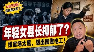 30岁当上女县长，却因为“不肯被摸大腿”重度抑郁？竟然想辞职出国学电工！大老王怒批：你就是身在福中不知福！老王来了：#体制内 #抑郁症 #官场潜规则 #润出国 #清明梦 #人生哲学