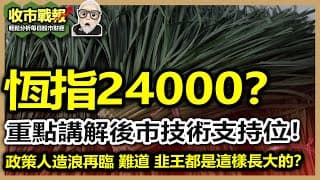 【收市戰報-781】人造浪市！記招突襲，恆指觸底反彈，後市直逼24000？我們要注意這幾個支持位！| 今日分享未來恆指中線嘅變化！2024-10-18