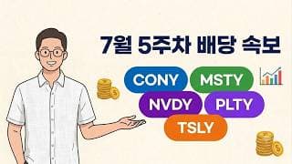 [배당 속보] CONY MSTY NVDY PLTY TSLY 7월 5th 배당