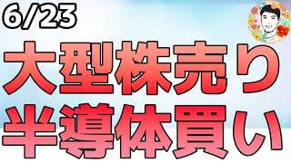 半導体一極集中!?なぜ大型テック株が売られる！【6/23 米国株ニュース】