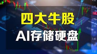 美股 别只盯着英伟达了！AI存储硬盘才是最大赢家，四大牛股名单曝光！#wdc #sndk #mu ...