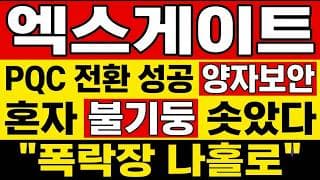 [엑스게이트 주가 전망] (긴급) PQC 전환 성공 양자보안! 혼자 "불기둥" 세웠다?주주님들 이정도면 느낌 왔잖아요.