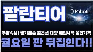 [팔란티어 주가분석] 주말속보) 월가큰손 콜옵션 대량매집 시작 올인가격. 월요일 판 뒤집힌다!! #팔란티어 #팔란티어주식
