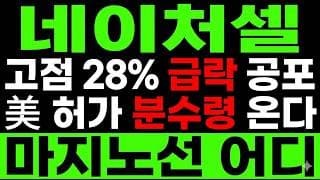 [네이처셀 주가 전망] 조인트스템 FDA! 고점 28% 급락 공포? "지금" 매수타이밍입니다.