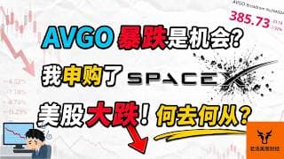 AVGO 大跌是机会? 我申购了 SpaceX! 美股大跌! 何去何从?【美股分析】