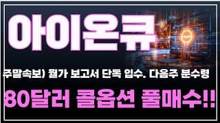 [아이온큐 주가분석] 주말속보) 월가 보고서 단독 입수. 다음주 분수령 80달러 콜옵션 풀매수!! #양자컴퓨팅주식 #아이온큐주가