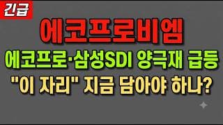 [에코프로비엠 주가 전망] (긴급) 에코프로·삼성SDI 양극재 급등! "이 자리" 지금 담아야 하나?