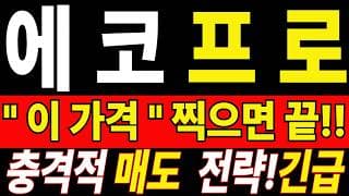 🟥 [에코프로 주가전망] 많이 기다리셨죠? 매도를 고민한다면 오늘 내용까진 확인하세요 "초긴장" ⚠️ D-2일