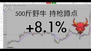 今天野牛打晚了一点，不然要上1000斤，早就等着它这只大野牛