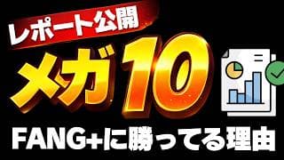 【FANG+との違い】メガ10、この銘柄頑張ってます。　【ニッセイ・Ｓ米国グロース株式メガ１０インデックスファンド】投資信託