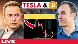 Tesla's Earnings impact on stock in premarket