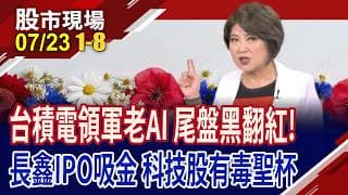 台積電領軍老AI 尾盤向上黑翻紅!鴻海奪回5條均線!彭博:長鑫存儲IPO大吸金 成為科技股有毒聖杯!｜20260723(第1/8段)股市現場*鄭明娟(孫慶龍×黃紫東×陳奇琛)