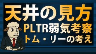 【再掲】天井の見方は？パランティア弱気考察とトム・リーの考え【2025/09/25】