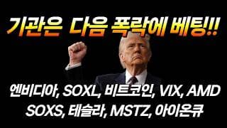 기관은 다음 폭락에 베팅(SPY, 엔비디아, SOXL, 비트코인, VIX, AMD, SOXS, 테슬라, MSTU, MSTZ, 아이온큐)