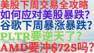 美股1200|美股下周交易全攻略!如何应对美股暴跌?谷歌下周暴涨还是暴跌?PLTR要逆天了,AMD能冲725吗? #googl #pltr #amd #美股 #美股分析 #drmikeinvest