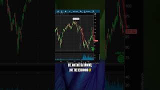 The market is ignoring 2 things: software crashing & Korea Ai doom loop
