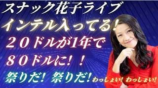 スナック花子インテル決算発表！テスラ、１４Aを使う！