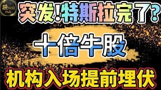 美股投资｜突发必看!特斯拉TSLA即将迎来大波动!十倍潜力股机构已入场｜美股趋势分析｜美股期权交易｜美股赚钱｜美股2025