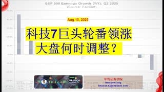 大盘何时调整？7大科技龙头股走势分析