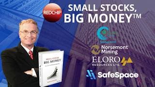 RedChip Highlights Eco Wave Power, Norsemont Mining, Eloro Resources & SafeSpace Global