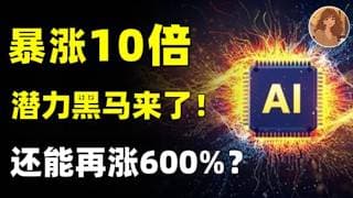 一年暴涨10倍！依旧是光通信最低估的黑马，市值仅LITE 1/6、COHR 1/5，未来还能再涨600%？LITE,COHR,POET,CIEN,LASR,MKSI,IPGP.CRDO#投資 #美股