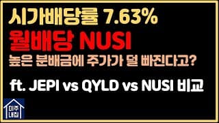 [미국ETF] 월 고배당ETF인 NUSI, 높은 월 분배금 + 하락 방어 ? 투자아이디어 및 리스크 점검