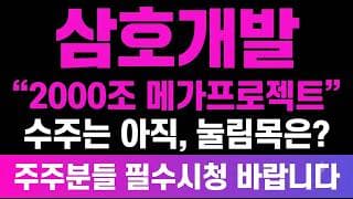 [삼호개발 주가전망] (필독) 2000조 메가프로젝트 토목 "수주는 아직" 눌림목은 어디일까?