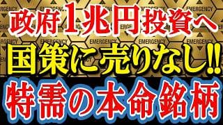 政府がガチで動いた！2030年までに1兆円投下される「新・バブル銘柄」を解説します。