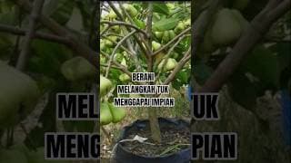 Motivasi Hari Ini: Berani Melangkah Untuk Mendapat Berkah Allah