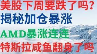 美股1154|美股下周要跌了吗?揭秘加仓暴涨!AMD 为何暴涨连连?特斯拉要咸鱼翻身了吗? #AMD #TSLA #GOOGL #HIMS #美股分析 #drmikeinvest