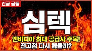 [심텍 주가 전망] 엔비디아 최대 공급업체 등극! 눌림목 조정 끝내고 신고가 랠리 복귀 #심텍주가전망 #심텍목표가 #심텍
