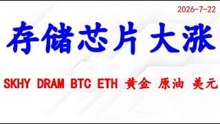 美股存储芯片大涨，死猫跳还是反转？个股分析：SKHY MU DRAM BTC ETH 黄金 原油 美元.