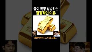 금의 폭풍 상승 이유, 전문가라더니...에라이... #shorts