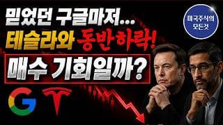테슬라·구글 장후 동반 하락! 단기 하락인가, 추세 붕괴인가? 데이터로 팩트체크해 드립니다.