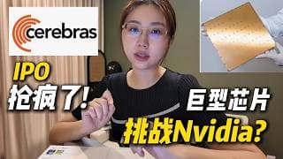 20倍超额认购！Cerebras IPO会是下一个AI神话吗？不靠堆GPU了？Cerebras用一颗巨型芯片挑战AI算力瓶颈