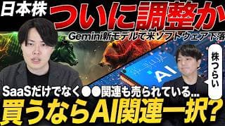 SaaS以外も突然の急落！AI関連以外は買えない時代になってしまうのか？専業投資家が足元の状況を解説！