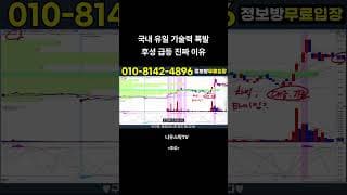 [후성] 국내 유일 기술력 폭발 후성 급등 진짜 이유