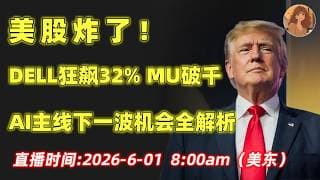 美股疯了！DELL狂飙32% MU破千, AI主线下一机会全解析!DELL.ORCL.NBIS.SNDK.TSLA,NVDA,IBM.INTC.IONQ,AAOI.LITE.VRT#美股 #ai