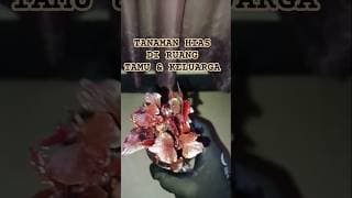 BUKAN SEKEDAR HIASAN RUANGAN