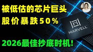 股价暴涨80%后断崖式闪崩50%！AI芯片隐形霸主Marvell遭误杀，今年最不容错过的抄底黄金坑，必看！MRVL,NVDA,MSFT,AMZN#美股 #投資 #trading #ai #芯片