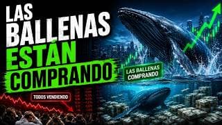 Todos Están Vendiendo… Pero las Ballenas No: La Señal del Fondo